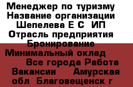 Менеджер по туризму › Название организации ­ Шепелева Е.С, ИП › Отрасль предприятия ­ Бронирование › Минимальный оклад ­ 30 000 - Все города Работа » Вакансии   . Амурская обл.,Благовещенск г.